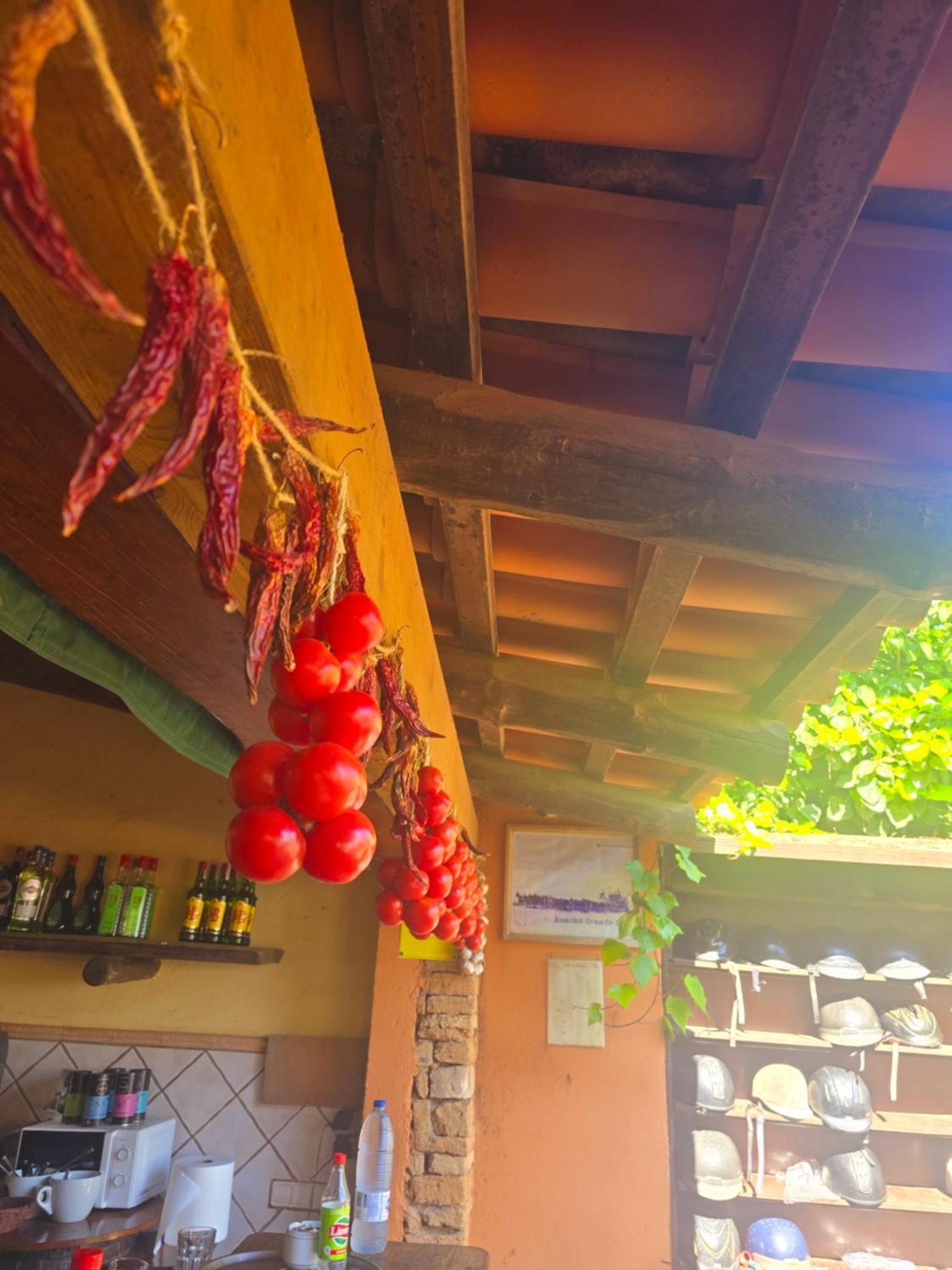 Son Apiana Villa